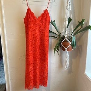 NWT Bardot Orange Lace Dress